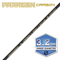 Skylon Paragon Arrow